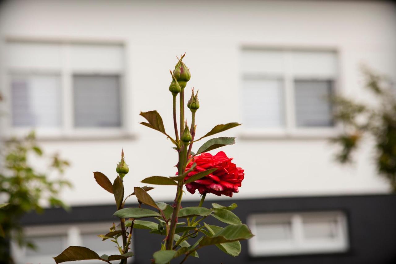 Apartman Kuća 150 Mala Subotica Dış mekan fotoğraf
